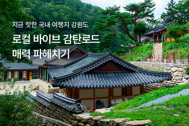 지역_강원 로컬바이브 감탄로드 활성화_250710