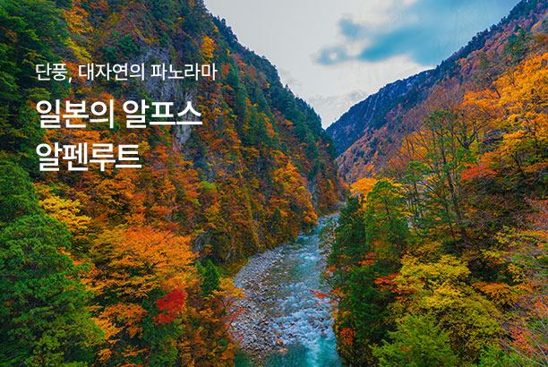 지역_알펜루트_250902