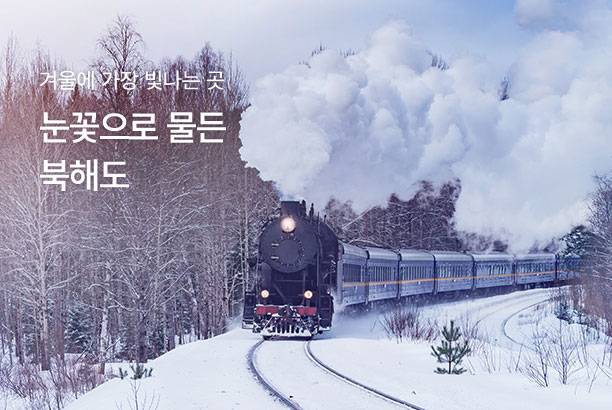 지역_북해도 기회전_251027